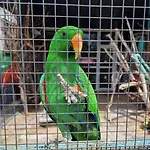 Viriks 3* Burgas