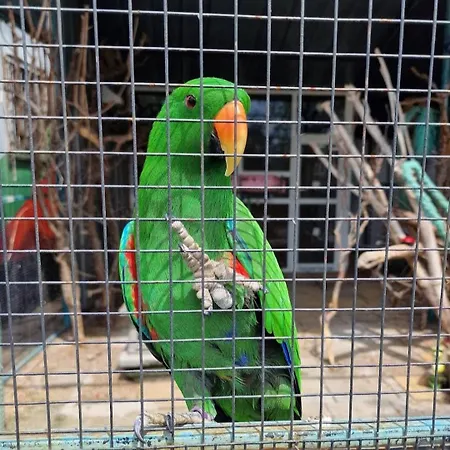 Viriks 3* Burgas