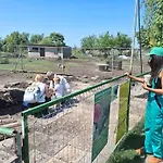 Värdshus Viriks Burgas
