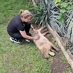 Viriks Värdshus Burgas