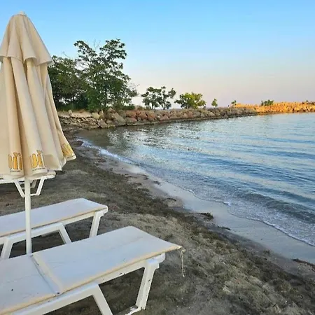 Viriks Gasthof Burgas City